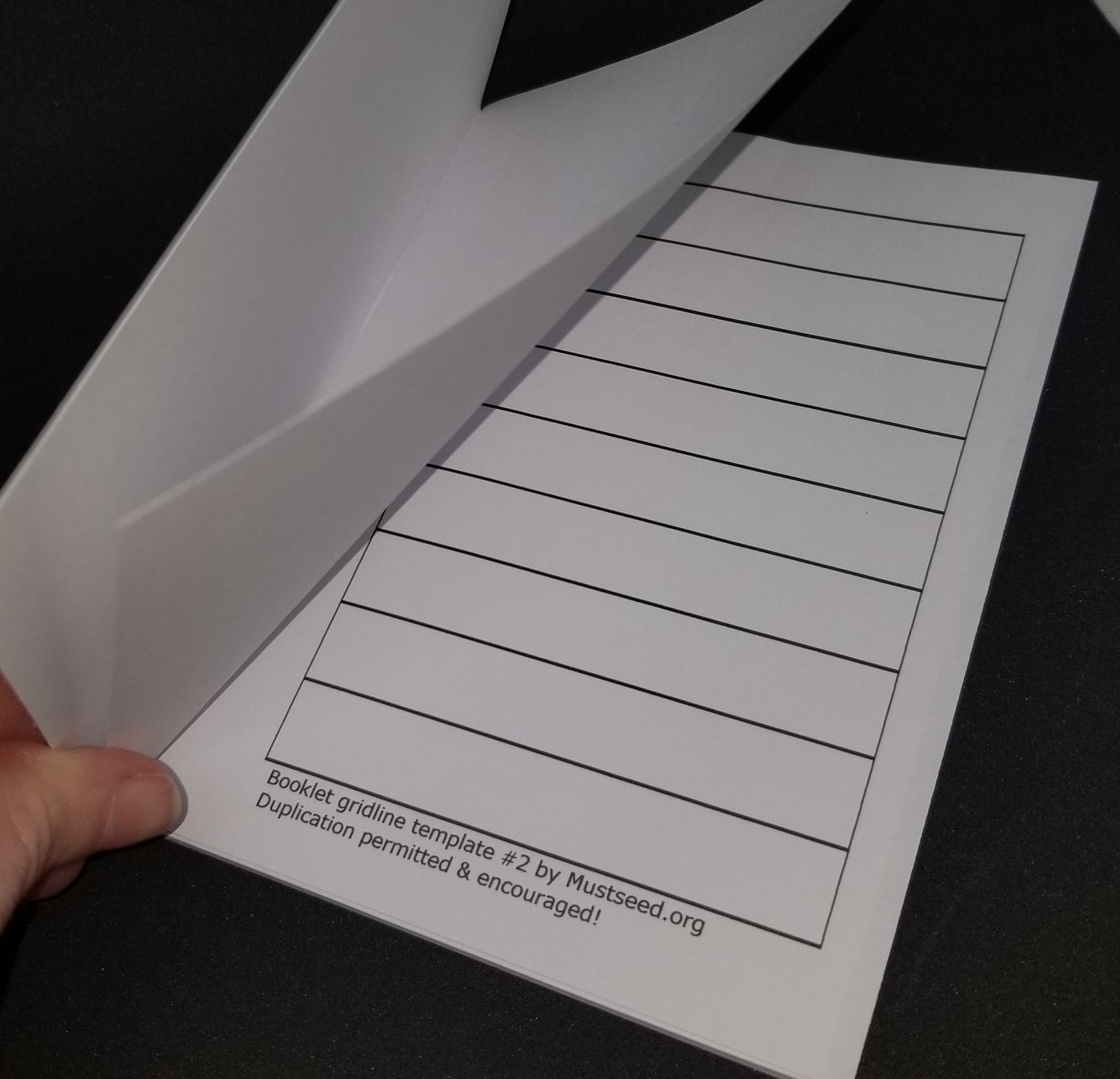 Blank Blue Booklets (Parables)