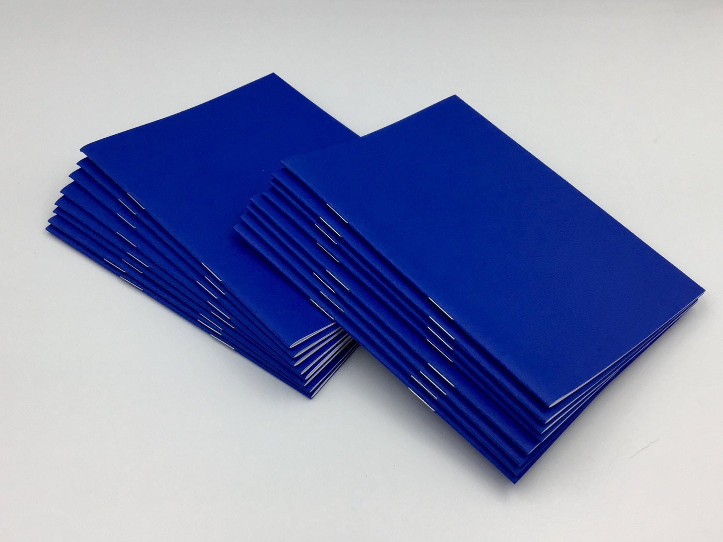 Blank Blue Booklets (Parables)