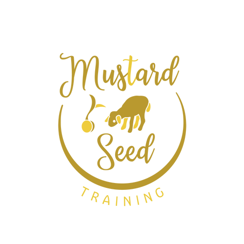 Mustard Seed Training logo