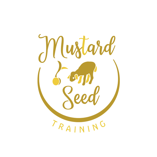 Mustard Seed Training