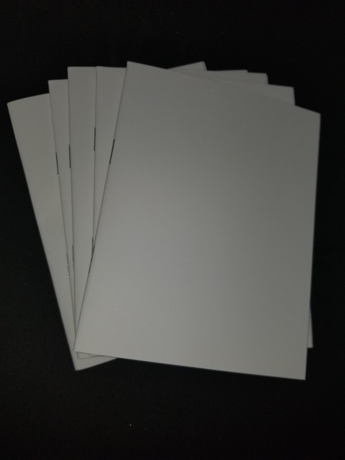 Blank White Booklets (Infancy Narratives)