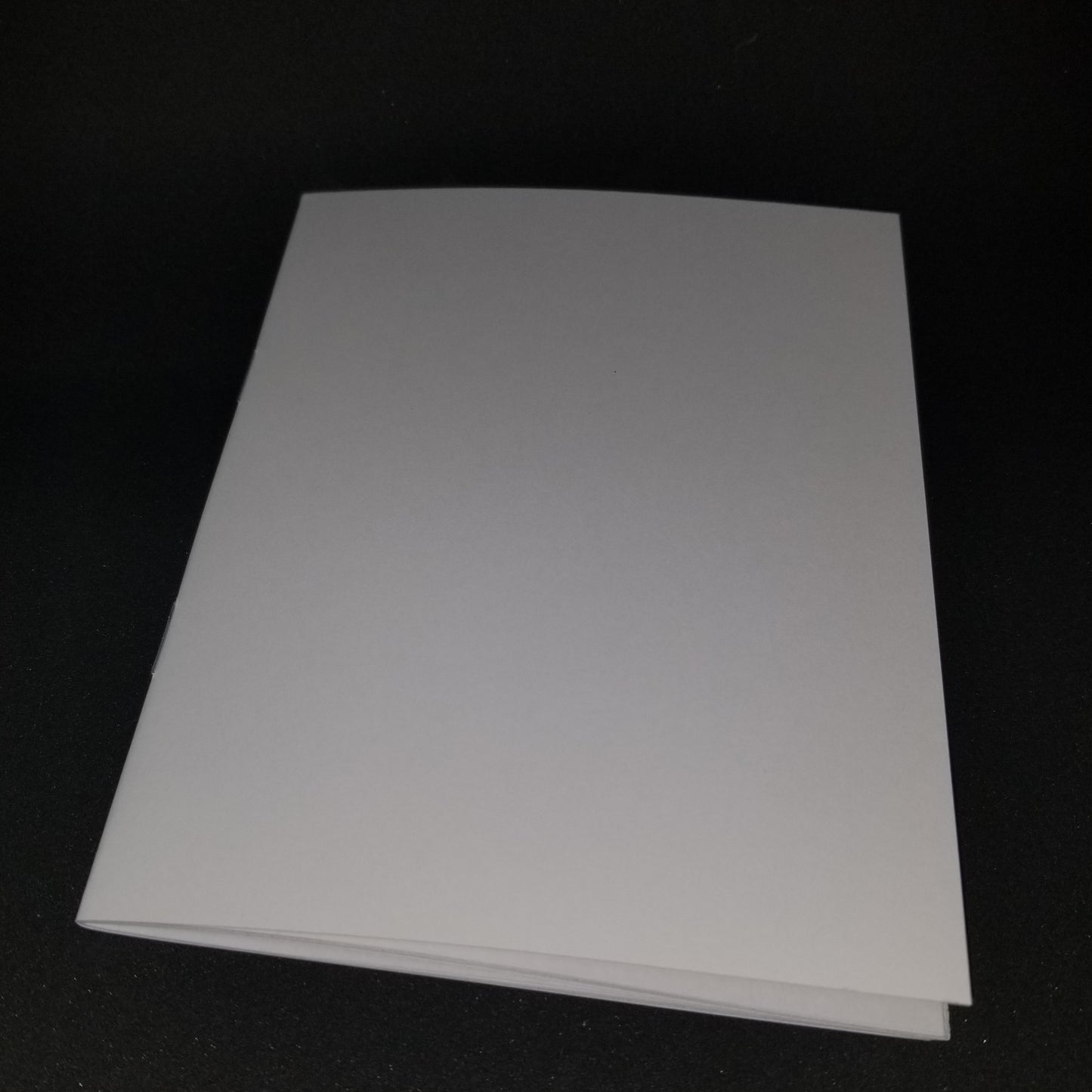 Blank White Booklets (Infancy Narratives)