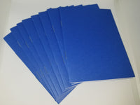 Blank Blue Booklets (Parables)