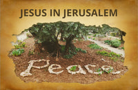 Free Download: Jesus in Jerusalem - Printable Book
