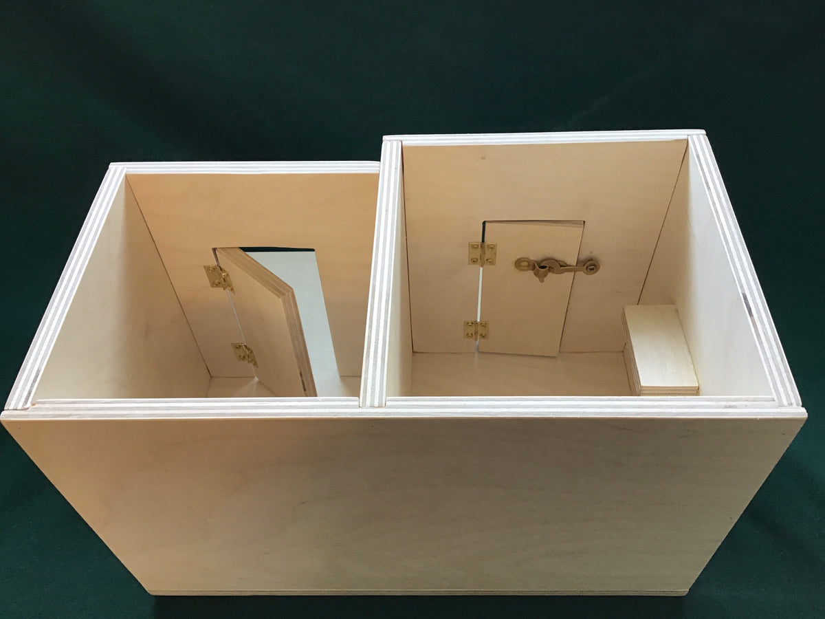 Insistent Friend Diorama with Bed – Mustard Seed Training